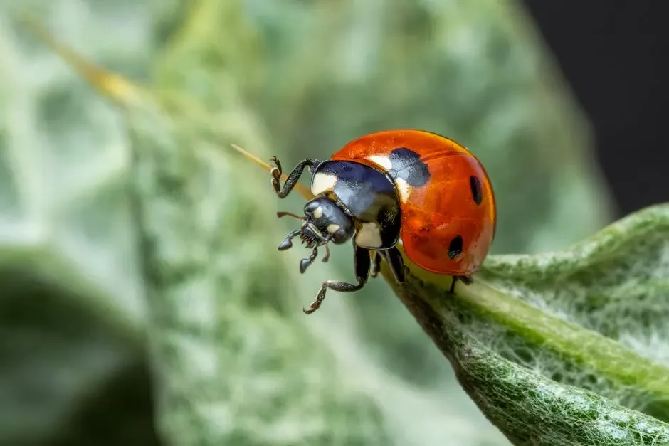 What Beneficial Insects Actually Do (Image Credits: Pexels)
