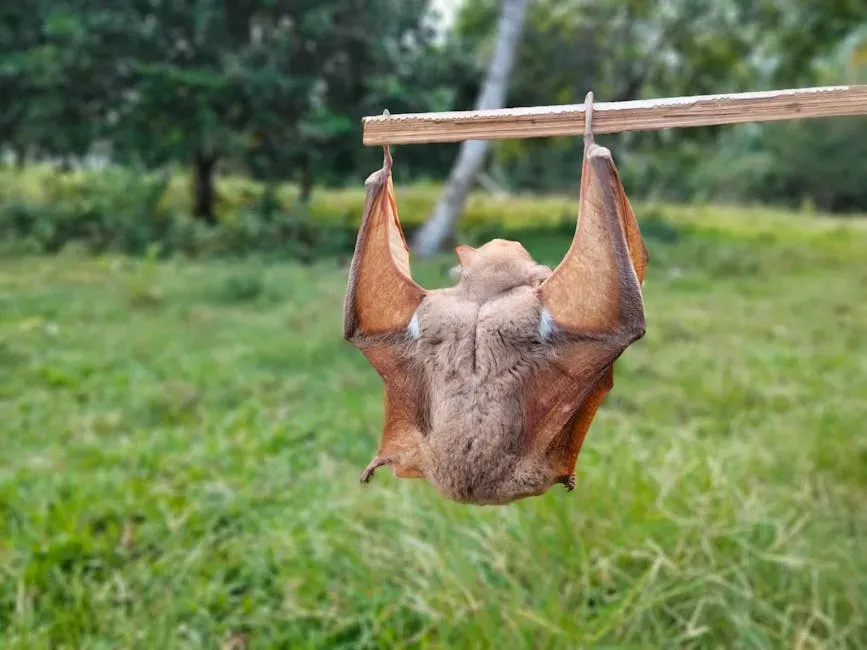 4. Austin, Texas - The City That Belongs to the Bats (Image Credits: Pexels)