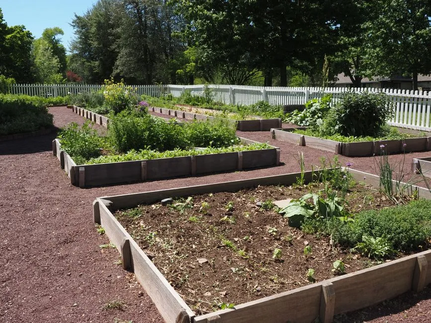 14. Locking In Permanent Beds and Paths Early (Image Credits: Pexels)