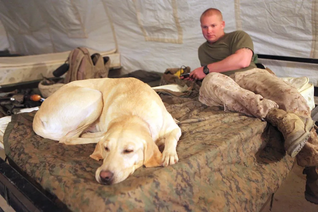 #13 - They Keep You in Their "Security Radius" (DVIDSHUB, Flickr, CC BY 2.0)