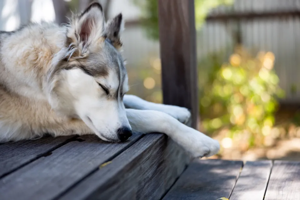#11 - A Predictable, Slower Routine (With Permission to Rest) (Image Credits: Stocksnap)