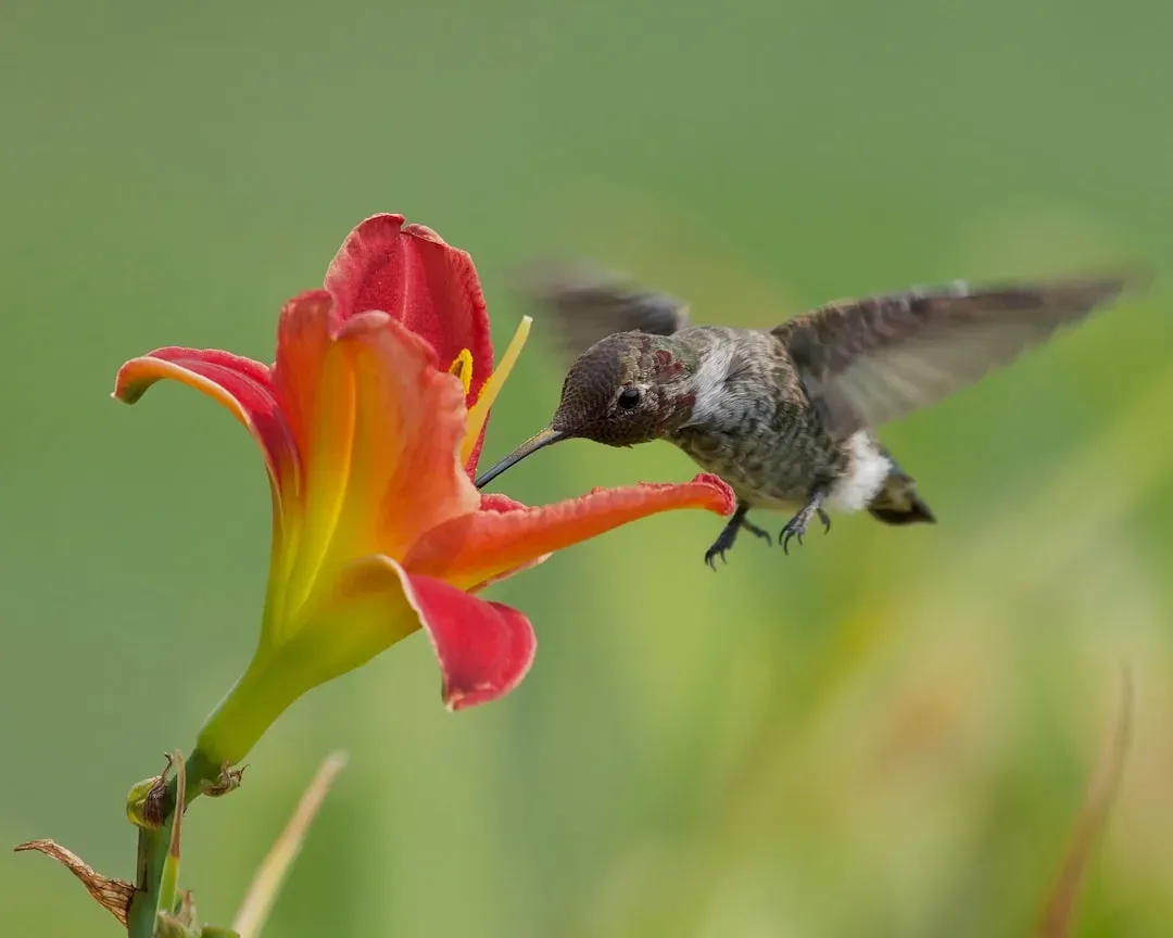 Nectar Is Scarce and Competition Is Brutal (Image Credits: Unsplash)