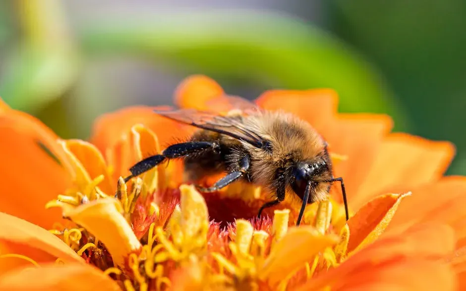 What's Driving the Decline (Image Credits: Pexels)