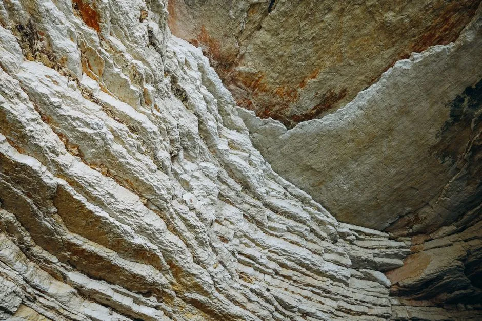 Locked in Stone for Millions of Years (Image Credits: Pexels)