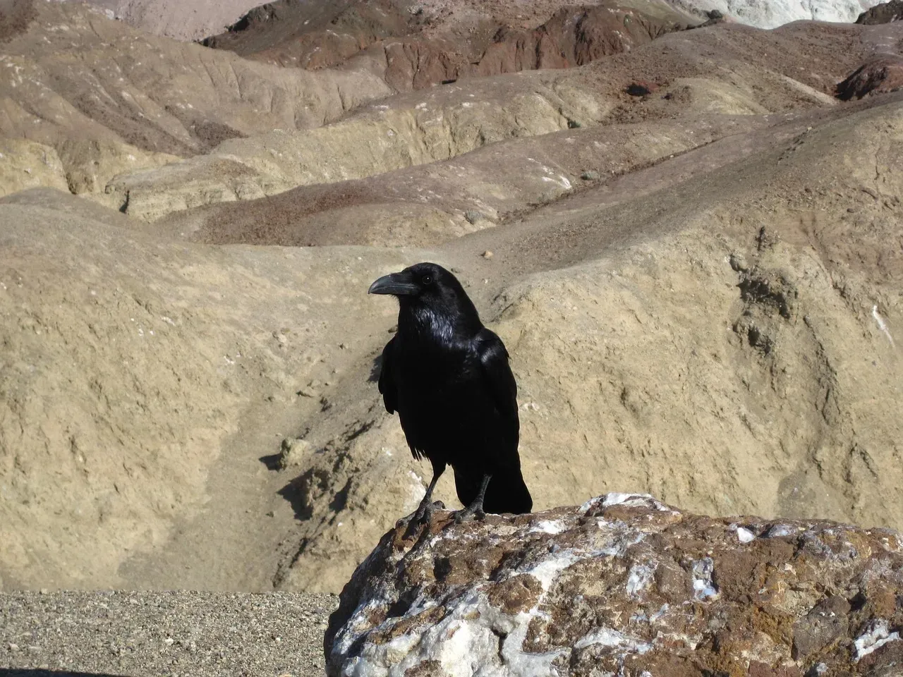 Comparisons Across Species and Contexts (Image Credits: Pixabay)