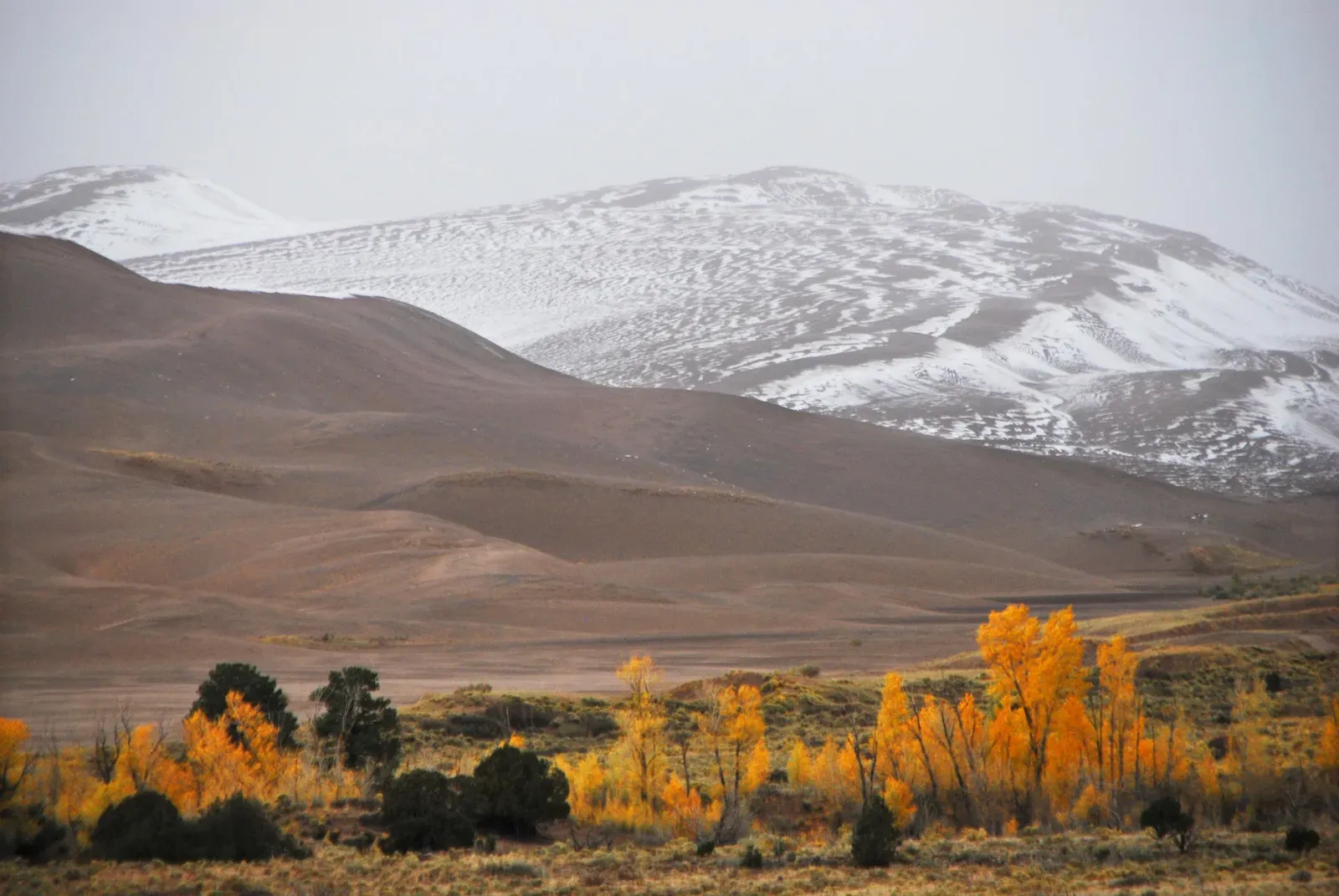 Great Sand Dunes National Park: Snow Meets Tallest Dunes (Image Credits: Wikimedia)