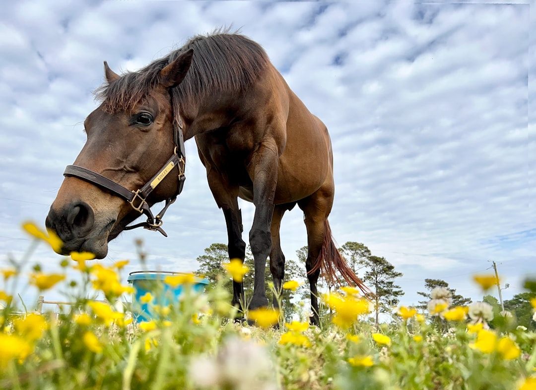 Feeding Creates Dangerous Behavioral Changes (Image Credits: Unsplash)