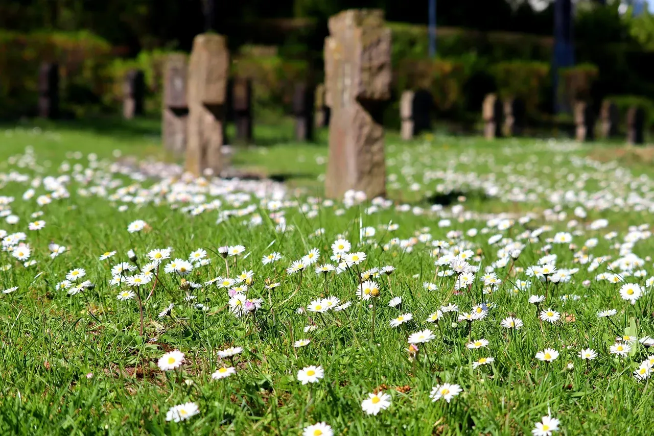 Signs of Symbolic Thought Emerging Early (Image Credits: Pixabay)