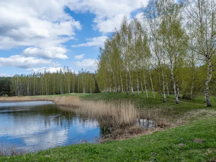 #5: Water Deeply and Consistently (Image Credits: Pexels)