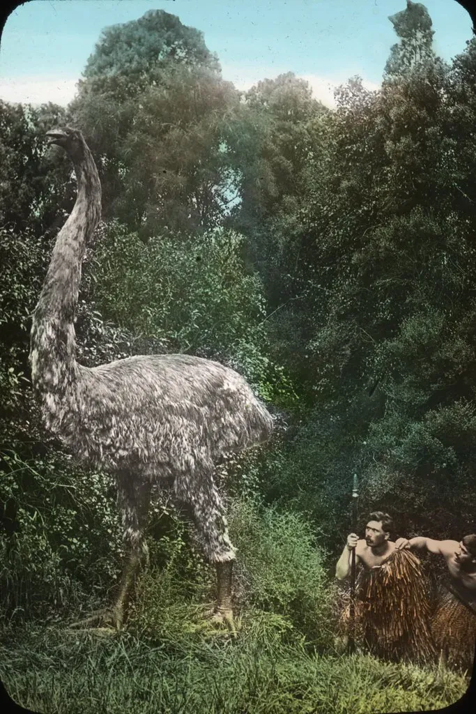 10. The Giant Moa: New Zealand's Lost Colossus (Image Credits: Flickr)