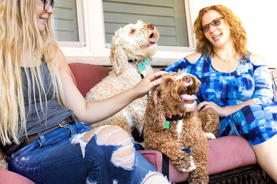 Dogs: Your Best Friend Really Is Laughing With You (Image Credits: Unsplash)