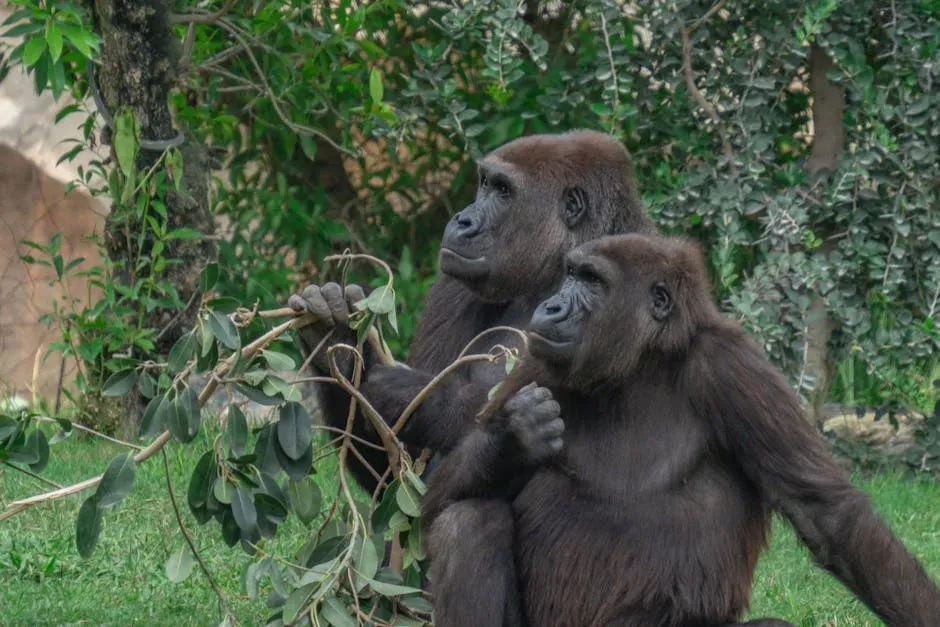 Emotional Lives: Animals Feel More Than We Used To Think (Image Credits: Pexels)