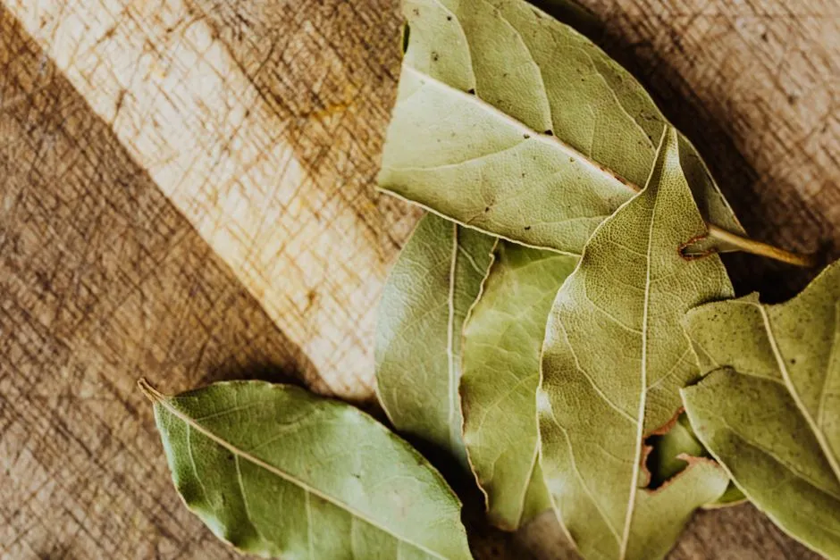 Bay Leaves: The Old-School Pantry Trick (Image Credits: Pexels)