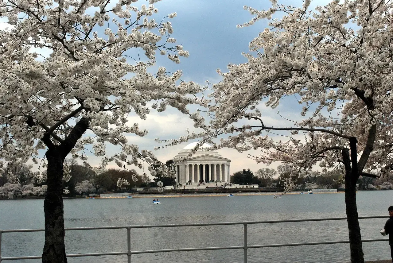 The Jefferson Memorial: Neoclassical Serenity (Image Credits: Pixabay)