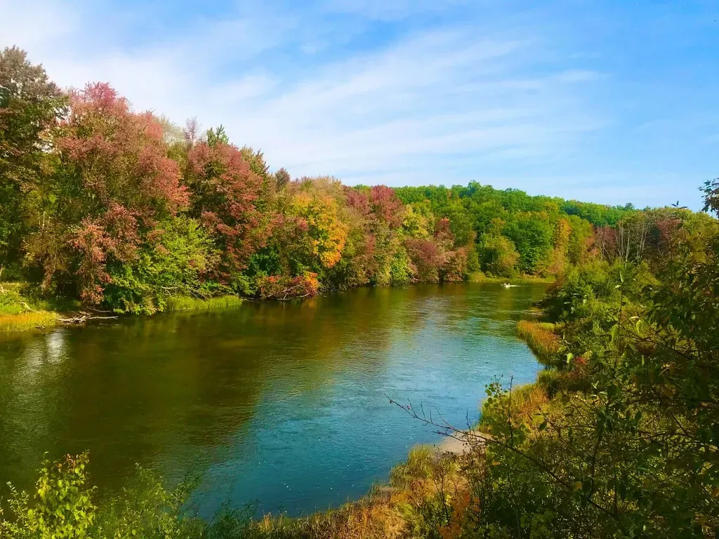 1. The Manistee River: The Crown Jewel of King Salmon Country (Image Credits: Flickr)