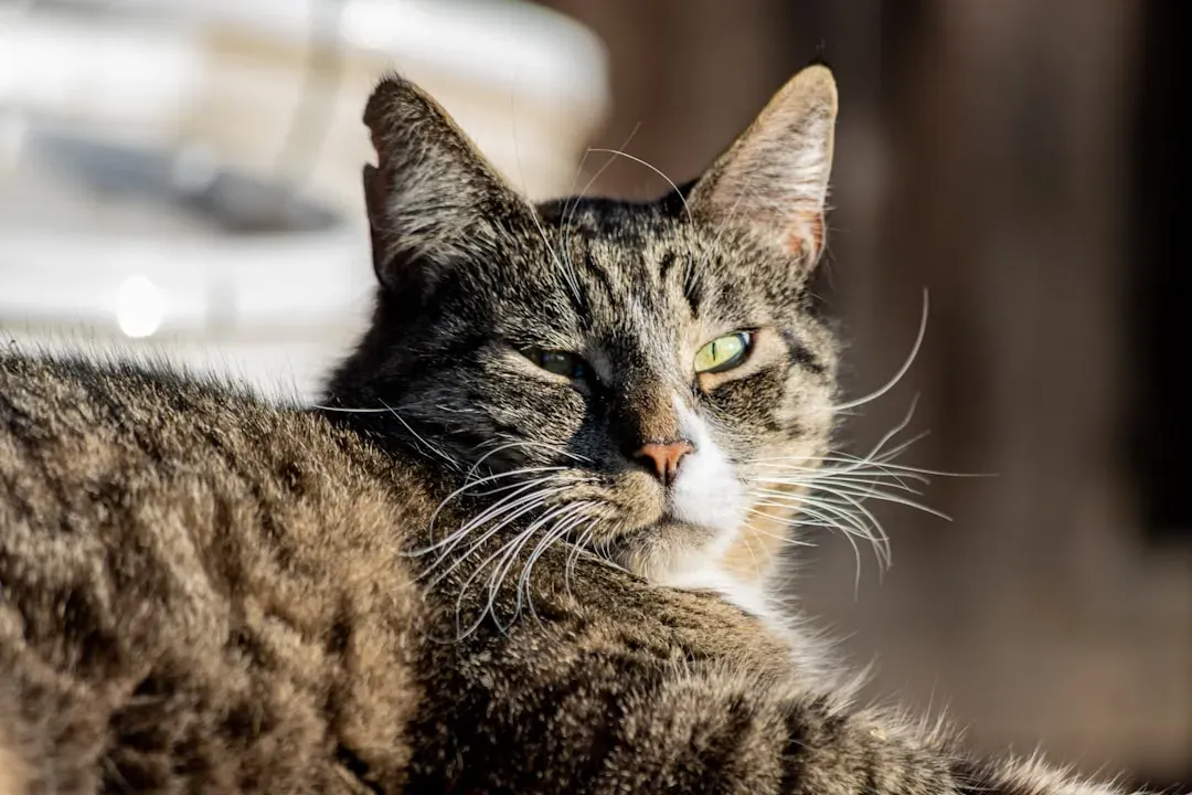 Significantly Lower Feelings of Loneliness (Image Credits: Unsplash)