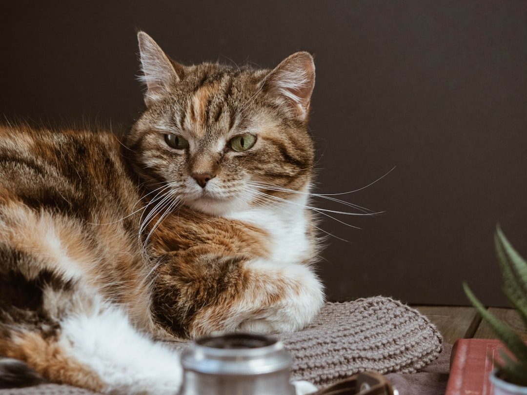 Essential Oils and Diffusers (Image Credits: Unsplash)