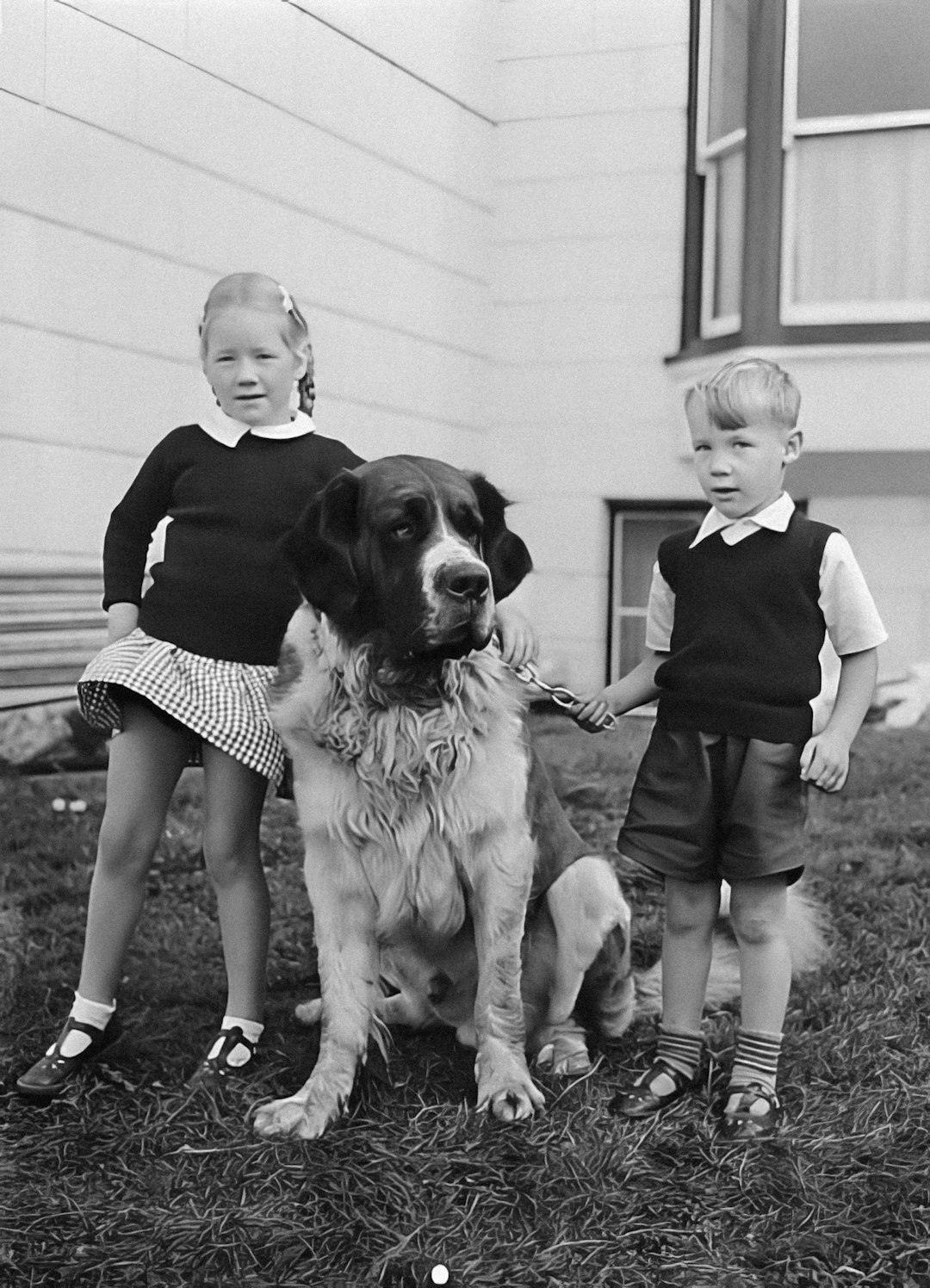 The Newfoundland: The Gentle Giant Who Babysits (Image Credits: Unsplash)