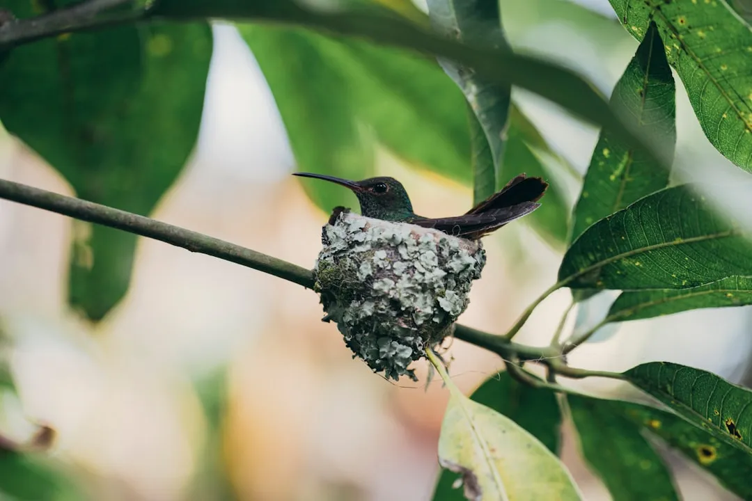 #9 - They Use Spiderwebs and Fuzz in a Surprising Late-Season Way (Image Credits: Unsplash)