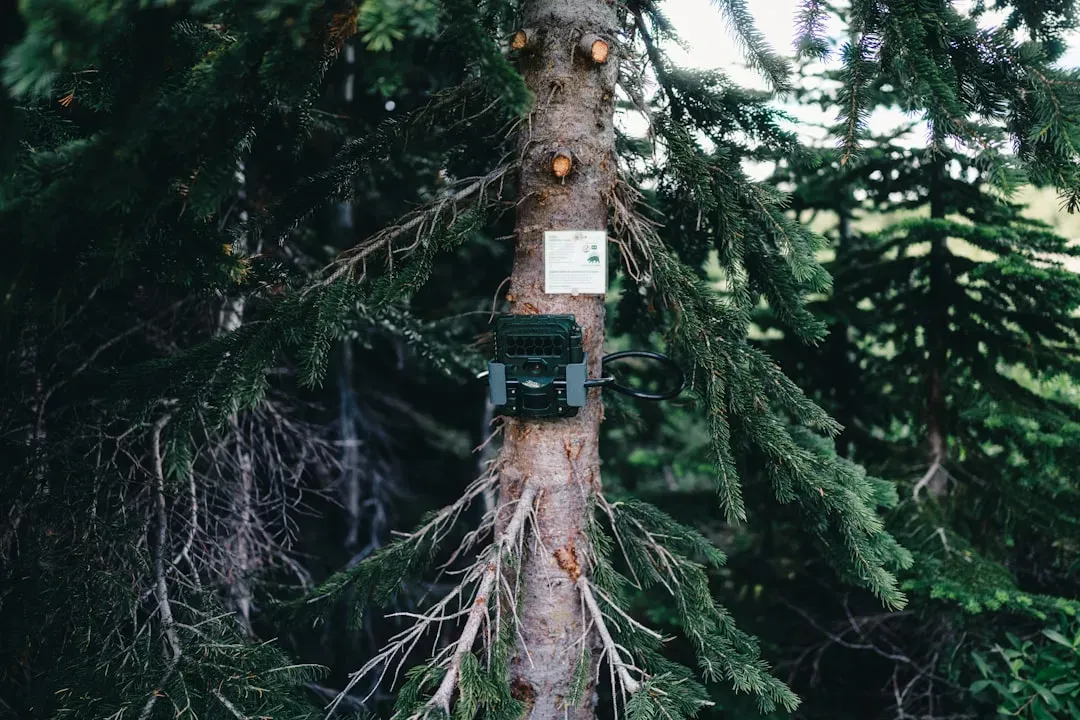 Bioacoustic Sensors: Eavesdropping on the Wild for Good (Image Credits: Unsplash)