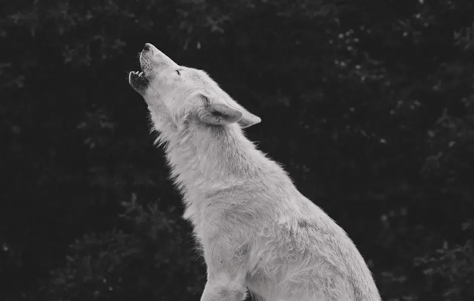 Wolves Howl at the Moon (Image Credits: Pexels)