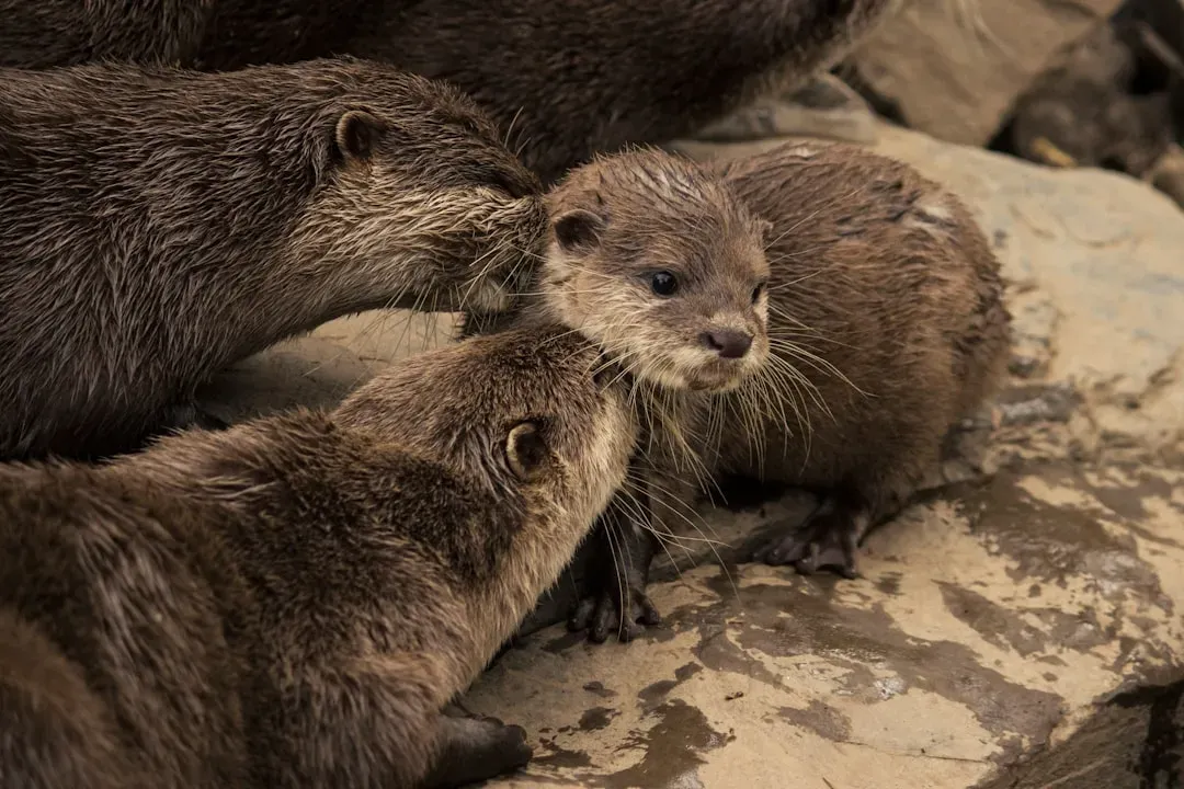 What About the Babies? The Most Heartwarming Part of All (Image Credits: Unsplash)