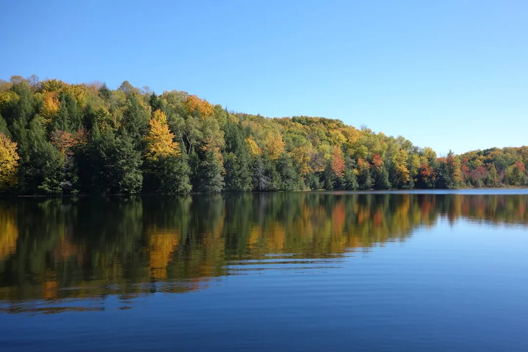 #7 - Lake Santeetlah, North Carolina (Image Credits: Unsplash)
