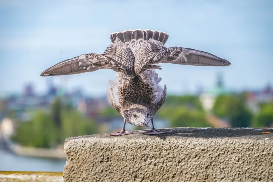 5. Bowing Head for Scratches (Image Credits: Pexels)