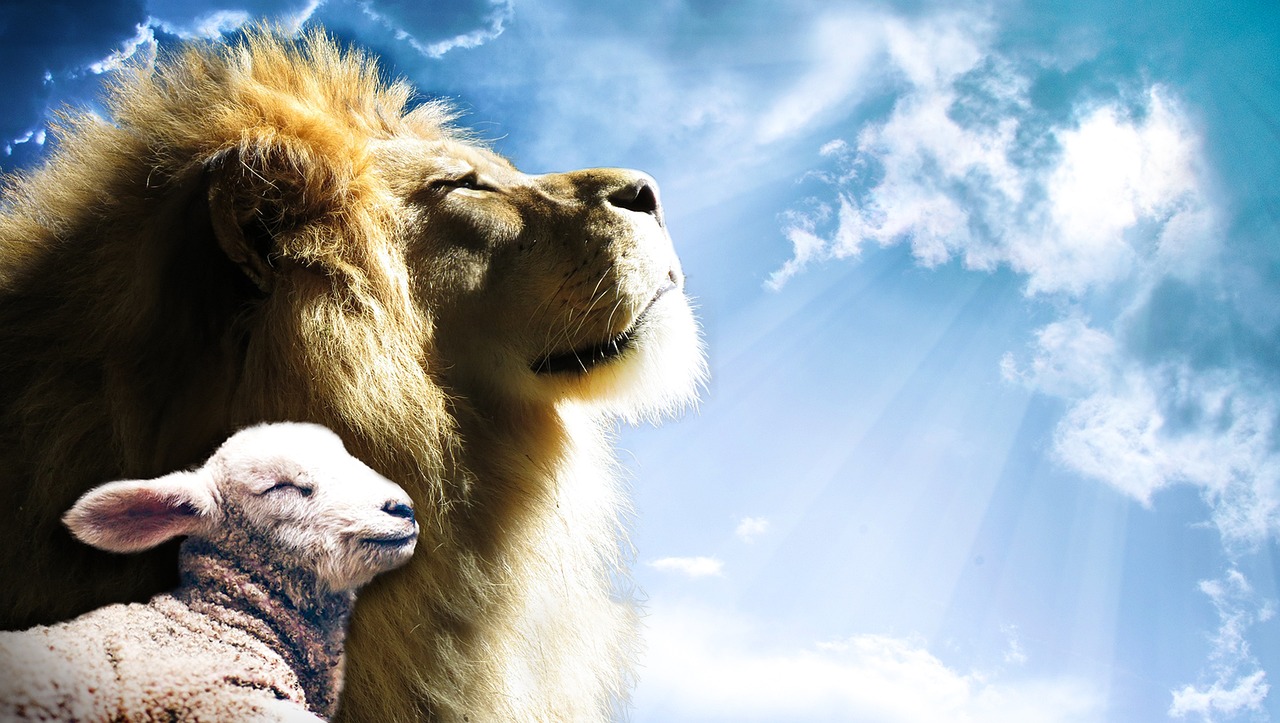 Conclusion: Embracing Your Inner Animal Wisdom (Image Credits: Pixabay)