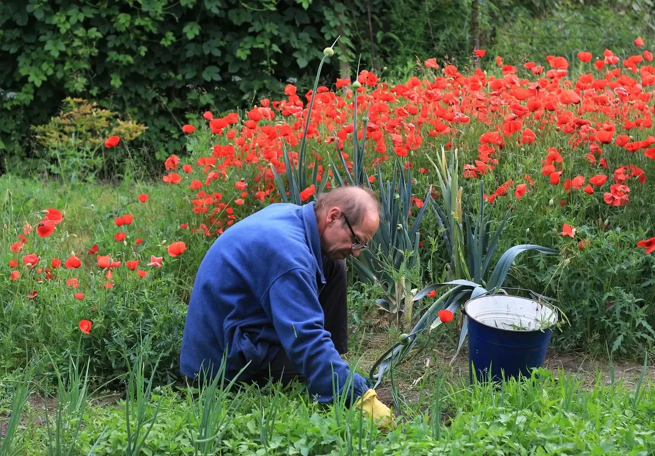 Tip 7: Fight Weeds Smarter, Not Harder (Image Credits: Pixabay)
