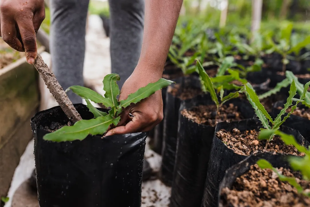 #10 - Succession Planting Is the Secret to a Harvest That Never Quits (Image Credits: Unsplash)