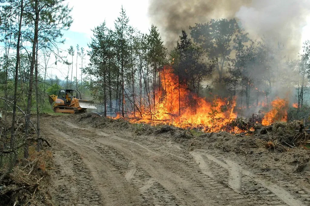 3. Using Prescribed Burns to Restore Habitat (U.S. Army Environmental Command, Flickr, CC BY 2.0)