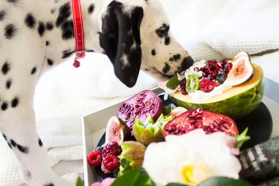 Diet Adjustments Happen for Both (Image Credits: Pexels)