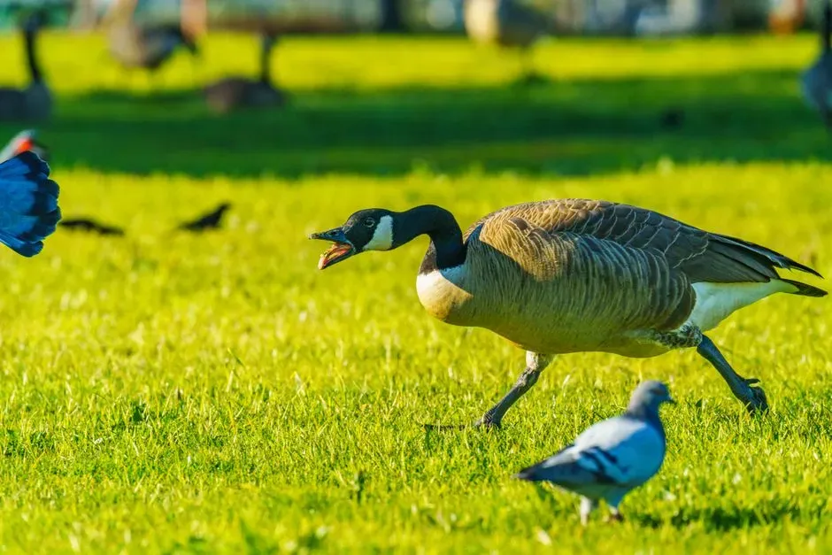 Charging: The Final Warning (Image Credits: Pexels)