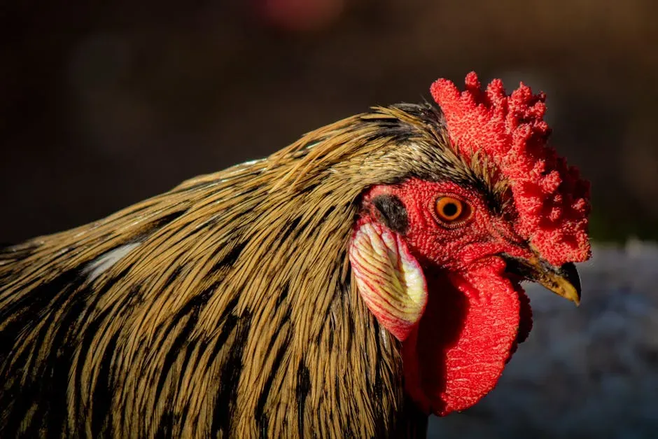 #6. The Redcap: The Breed Almost Nobody Has Seen (Image Credits: Pexels)
