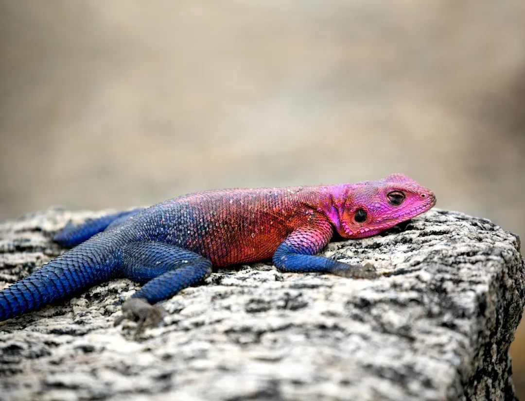 The Incredible Color Swap: Animals That Change Their Wardrobe With the Seasons (Image Credits: Unsplash)