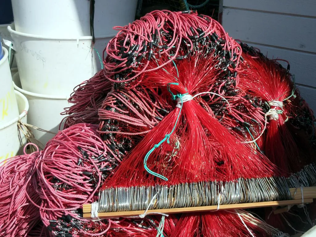 #11 - Discarded Fishing Gear Creates Silent Emergencies (D-Stanley, Flickr, CC BY 2.0)