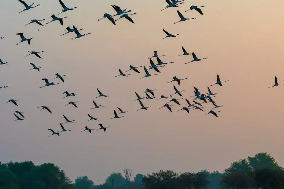 #4. Which Birds Are Most Vulnerable, and Why (Image Credits: Pexels)