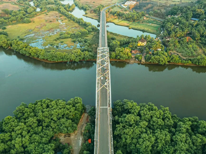 A National Effort: Infrastructure, Funding, and Habitat Connectivity (Image Credits: Pexels)