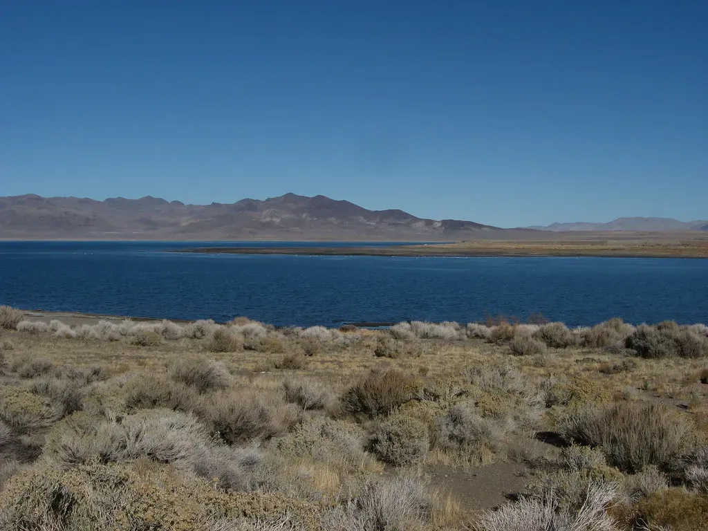 Pyramid Lake, Nevada: The Water Babies' Domain (Image Credits: Flickr)