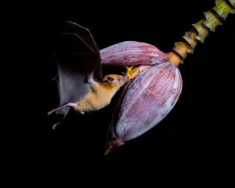 The Bumblebee Bat: The World's Tiniest Flying Mammal and Its Sonar Superpower (Image Credits: Pexels)