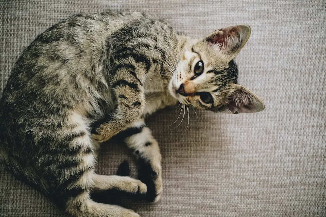 #11 - Mild, On-Off Vomiting You've "Always Ignored" (Image Credits: Unsplash)