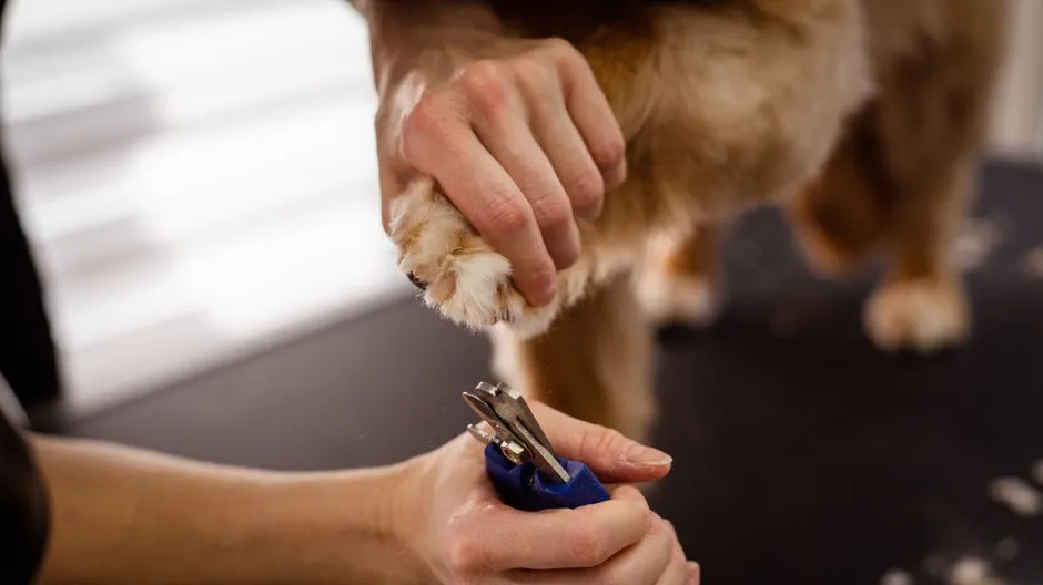 #5 - Nails That Grow Thicker and More Brittle (Image Credits: Pexels)