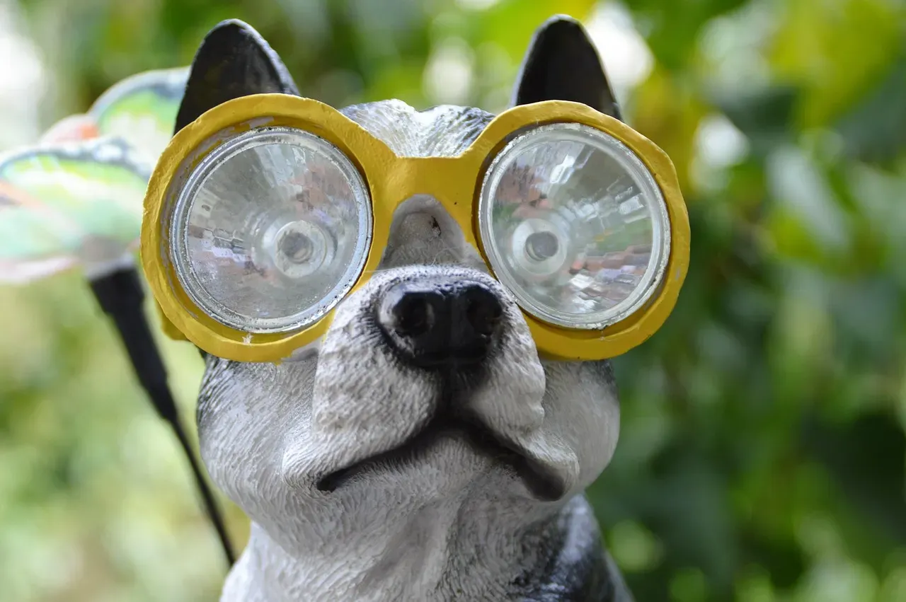 Breeds That Struggle: When Biology Works Against the Water (Image Credits: Pixabay)