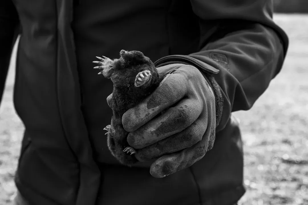 #2. Their Tunnel System Functions as a Living Trap (Image Credits: Unsplash)
