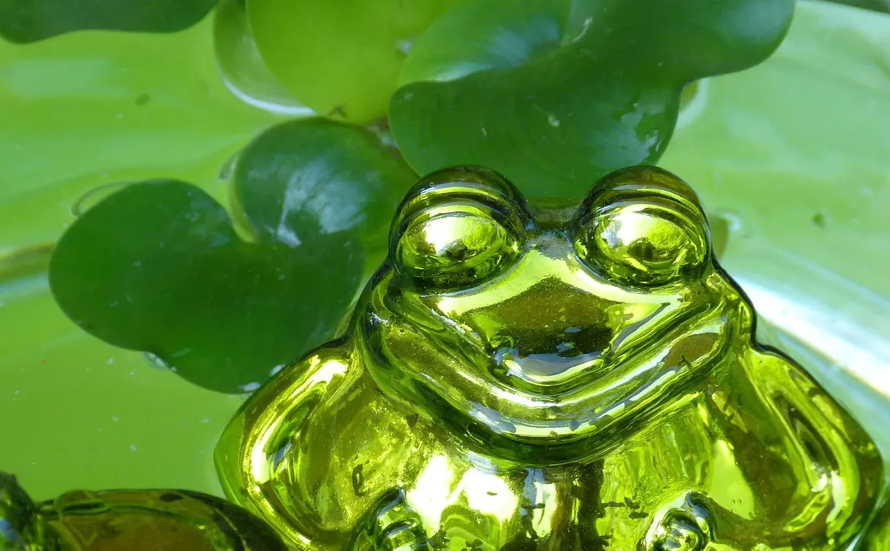 #12 Pisces (February 19 – March 20): The Glass Frog (Image Credits: Pixabay)