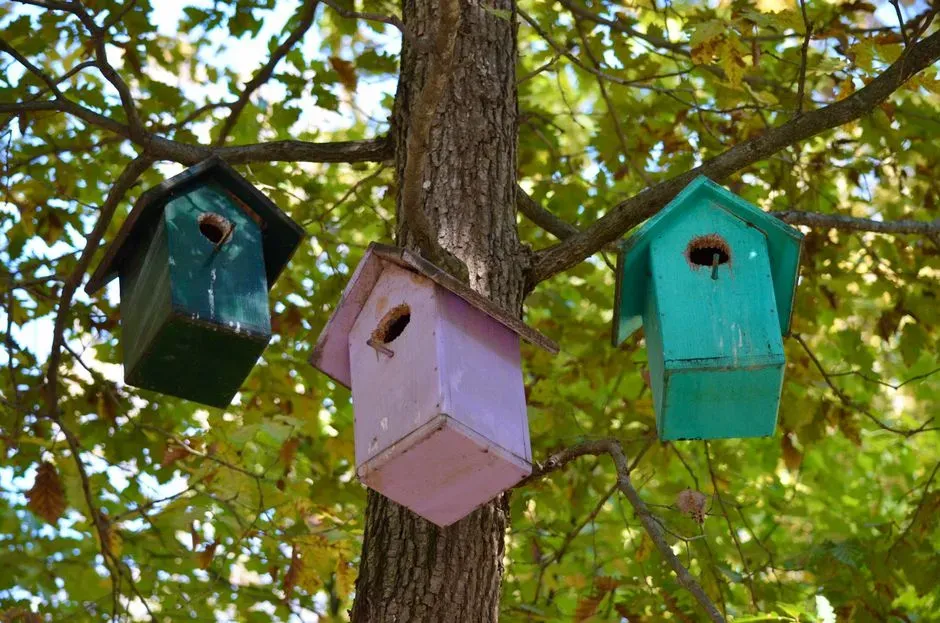 #11 - Mount Boxes on Smooth Metal Poles with Proper Baffles (Image Credits: Pexels)