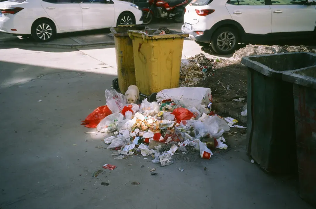 Keeping Overflowing or Uncovered Trash Cans (Image Credits: Unsplash)