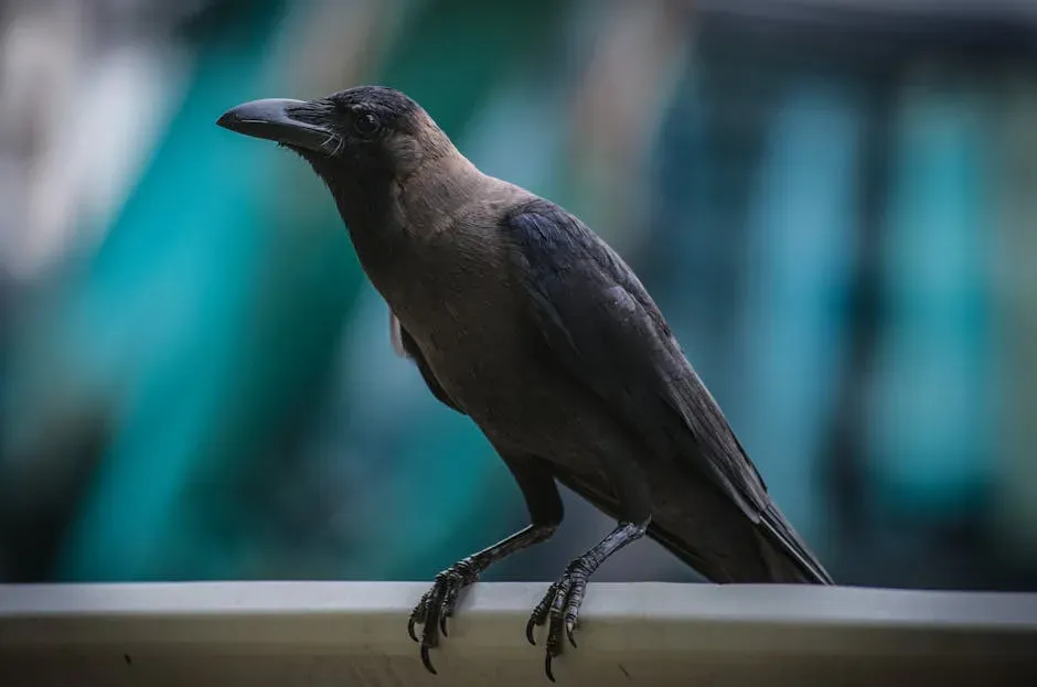 1. Their Intelligence Rivals That of Great Apes (Image Credits: Pexels)
