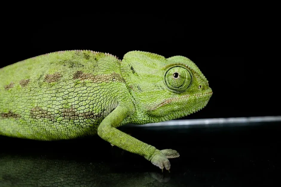 Libra: The Chameleon - Passive-Aggressive, People-Pleasing, Dishonest (Image Credits: Pexels)